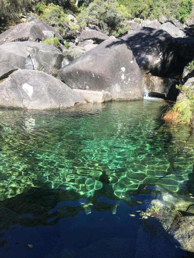 Cabana Do Dinamarques Em Arga De Baixo Kültér fotó